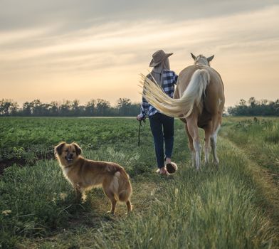 young blonde girl in a hat and a plaid shirt walks with a horse and dog in the evening on a farm in the village