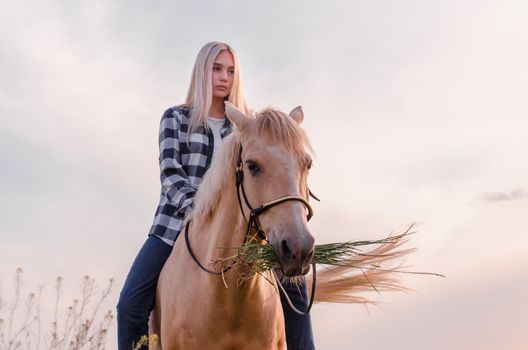 young blonde girl dressed in blue jeans and a plaid shirt sits on a horse at the ranch closeup