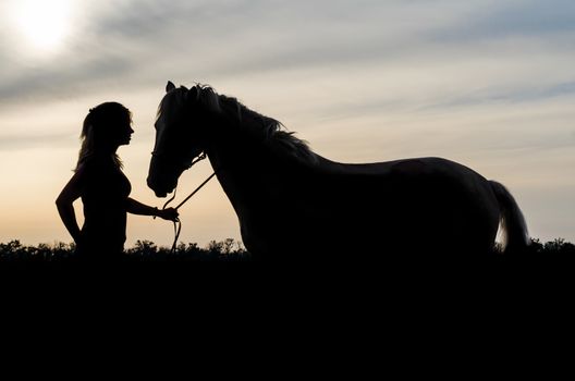 silhouette of a young girl with a horse on sunset background