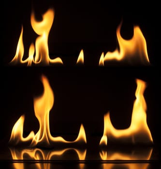 Fire on a black background. Studio shot flames