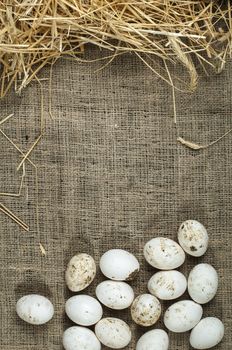 Organic white eggs on sackcloth and straw. Copy space
