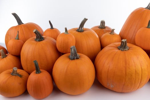 Heap of many orange pumpkins isolated on white background , Halloween concept