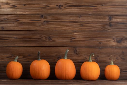 Five orange pumpkins in a row on dark wooden background, Halloween concept