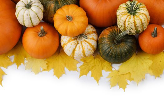 Many colorful pumpkins frame isolated on white background, autumn harvest, Halloween or Thanksgiving concept