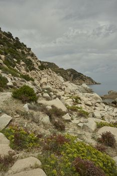 View of a cliff in the southern coast of Sardinia, covered by typical vegetation.