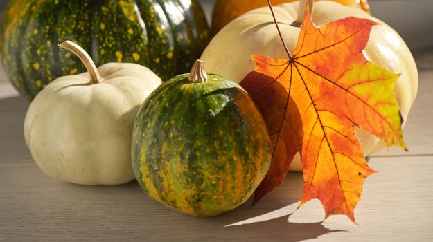  Autumn maple leaves with Pumpkins on white wooden background