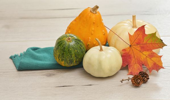  Autumn maple leaves with Pumpkins on white wooden background