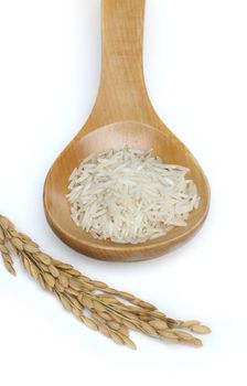 Basmati rice in wooden spoon on white background.Rice branch