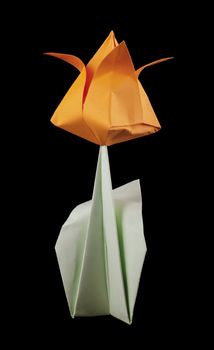 Orange tulip isolated on black background. Paper made flowers.