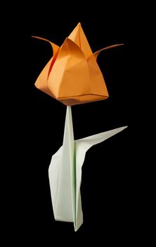 Orange tulip isolated on black background. Paper made flowers.