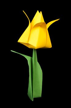 Yellow tulip isolated on black background. Paper made flowers.