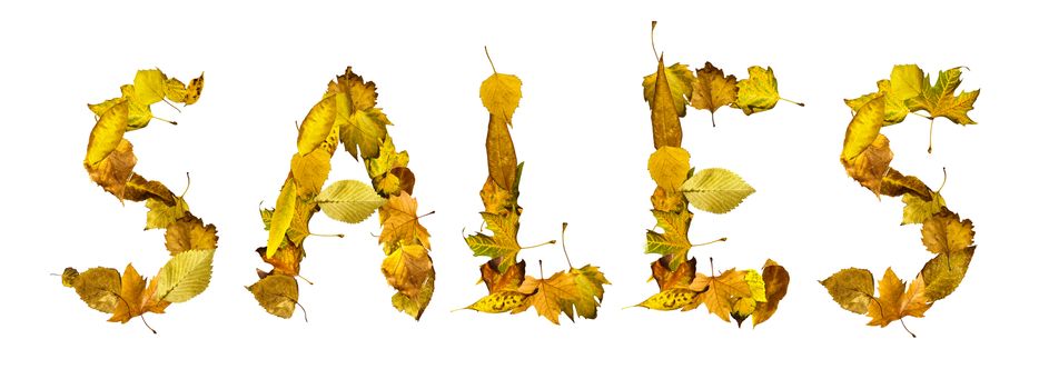 Text Sales made of autumn leaves. White isolated