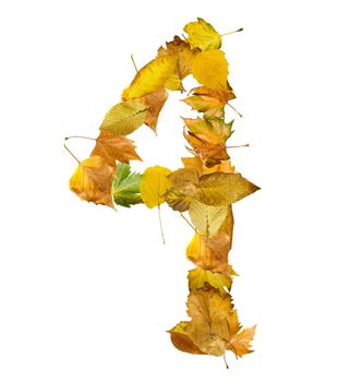 Number four made of autumn leaves. White isolated