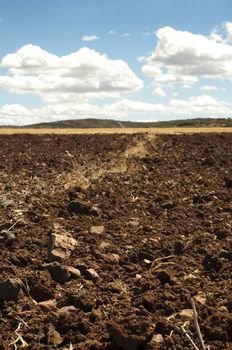 Agricultural land and blue sky