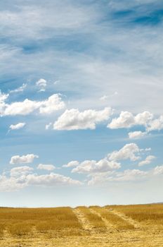 Rural road and blue cloudy sky