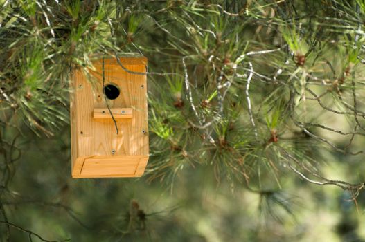 Wooden house for the birds. Natural wood color