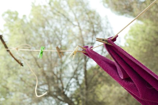 Clothes dryer on tree branch. Forest camping