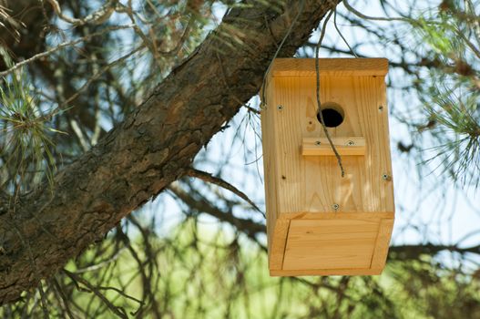 Wooden house for the birds. Natural wood color