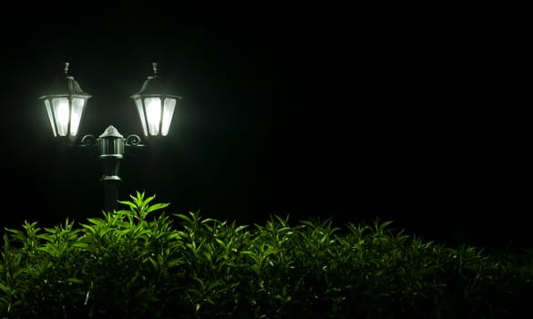 Outdoor Night lamp in park. Night light