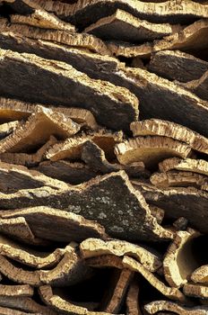 Cork crust. Natural piece of wood