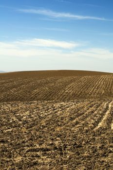 Agricultural land soil and blue sky .