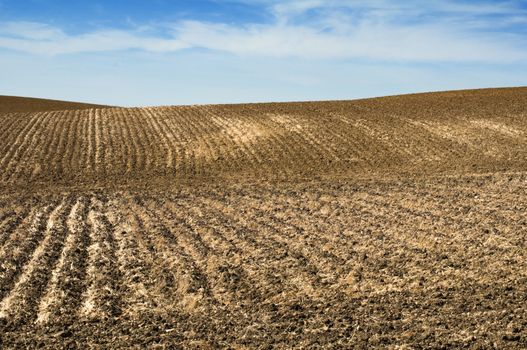 Agricultural land soil and blue sky .