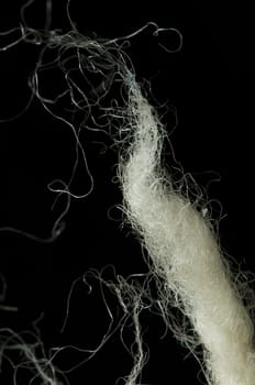 White wool fibers closeup. Black isolated