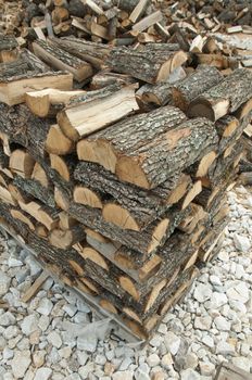 Stack of freshly cut trees on blue sku background