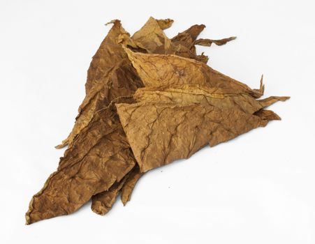 Dried tobacco leaves, fine details closeup