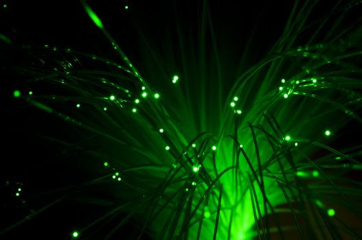 Optical fibers of fiber optic cable. Internet technology. Green color