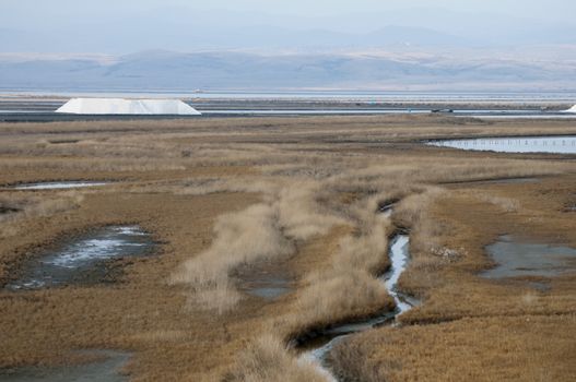 Sea ​​saltern. Ponds for salt production