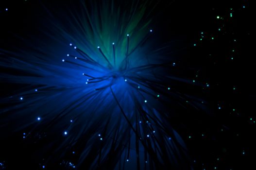 Optical fibers of fiber optic cable. Internet technology.Blue color