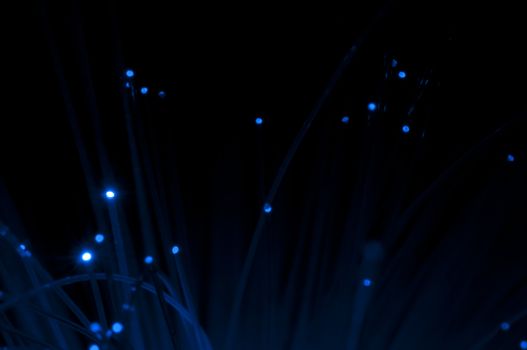 Optical fibers of fiber optic cable. Internet technology.Blue color