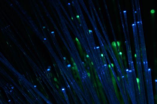 Optical fibers of fiber optic cable. Internet technology.Blue color