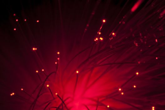 Optical fibers of fiber optic cable. Internet technology.Red color