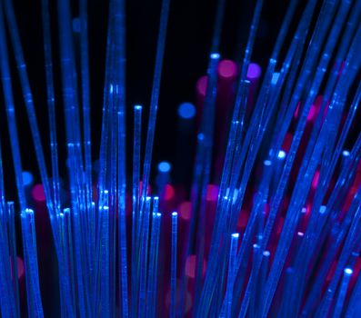 Blue colors optical fibers