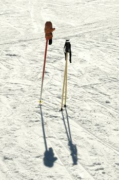 Ski poles stuck in the snow