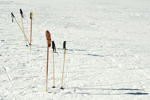 Ski poles stuck in the snow