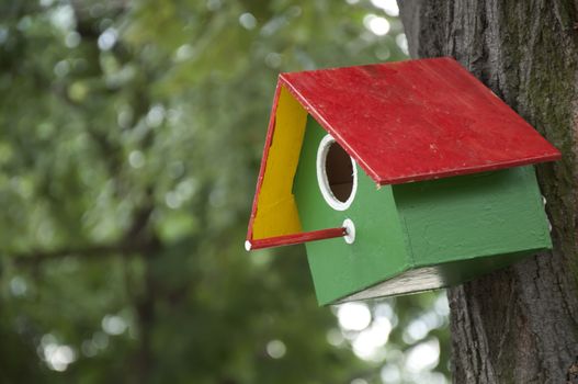 Home-made bright colored bird house. Space for text or other content