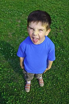Young boy tongue sticking on green meadow