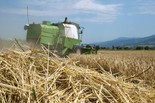 Tractor and combine harvesting. Sunny summer day