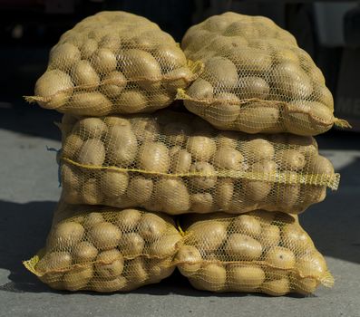 Potatoes in mesh bags in Wholesale market