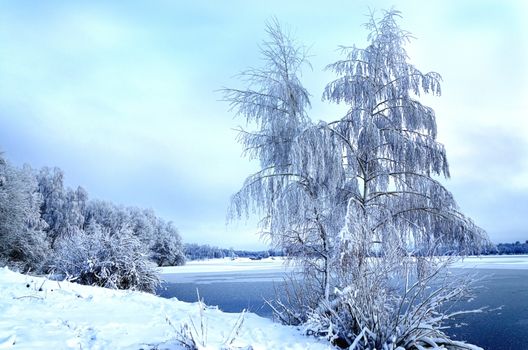 Winter landscape with trees, covered with hoarfrost and views on the frozen lake