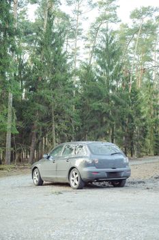Gray hatchback car parked next to the wood