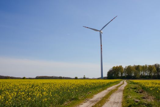 Bright blue sky moving and wind turbine.