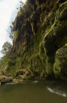 View from the bottom of the natural dripstone of Sa Stiddiosa: a rocky wall covered with vegetation lets the water fall through the walls and the ripples between the rocks. Vertical Shot.