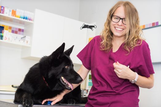 Doctor at the veterinary clinic smiling with a beautiful dog