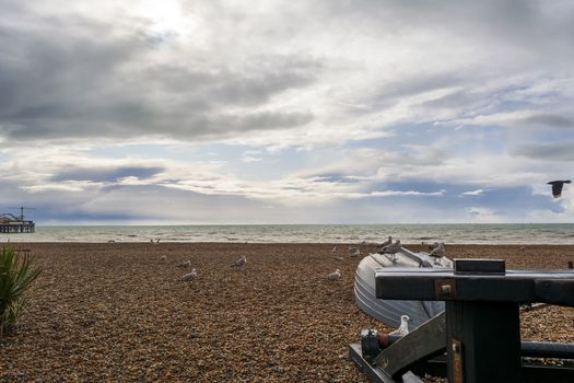 Seagulls standing on a small wrecked boat in Brighton's beach in autumn.