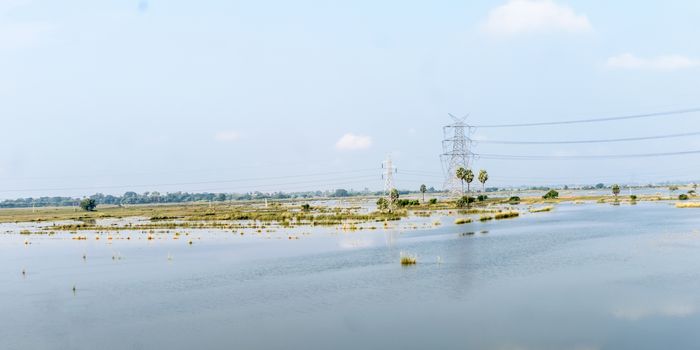 Agricultural land affected by flood. Flooded Food crop Fields. A Natural disaster in Agriculture and farming caused by due to heavy rain as Sea-level water rises. Eastern India, South Asia Pac.