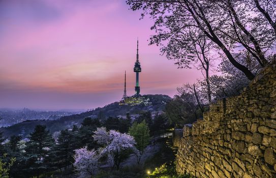Twilight Seoul Tower in Spring at south korea